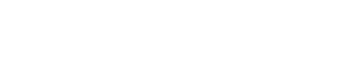 ALGOVISION TECHNOLOGIES INC.